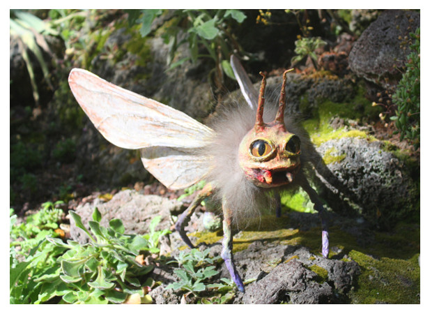 Neu! Postkarten zu Insekten aus Papier-/Clothmache