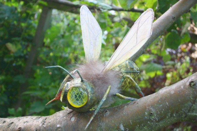 Musca okulis - Facettenfliege