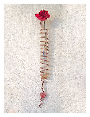 Hängeglasvase für Einzelblüten