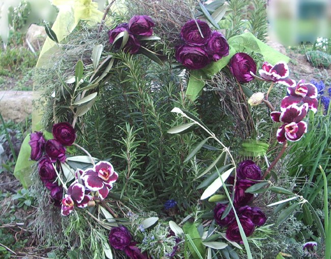 Kräuterkranz mit Ranunkeln und&nbsp;Orchideen