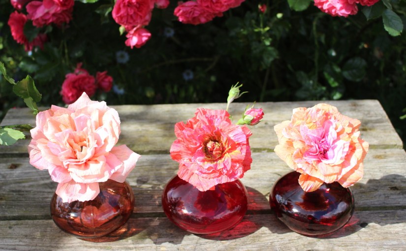 Drei Krepppapierrosen