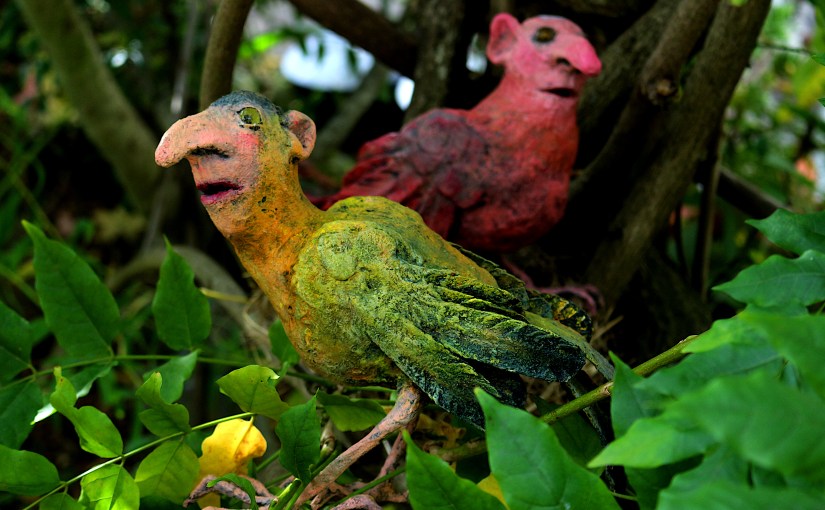Charaktervogelpaar mit Nest