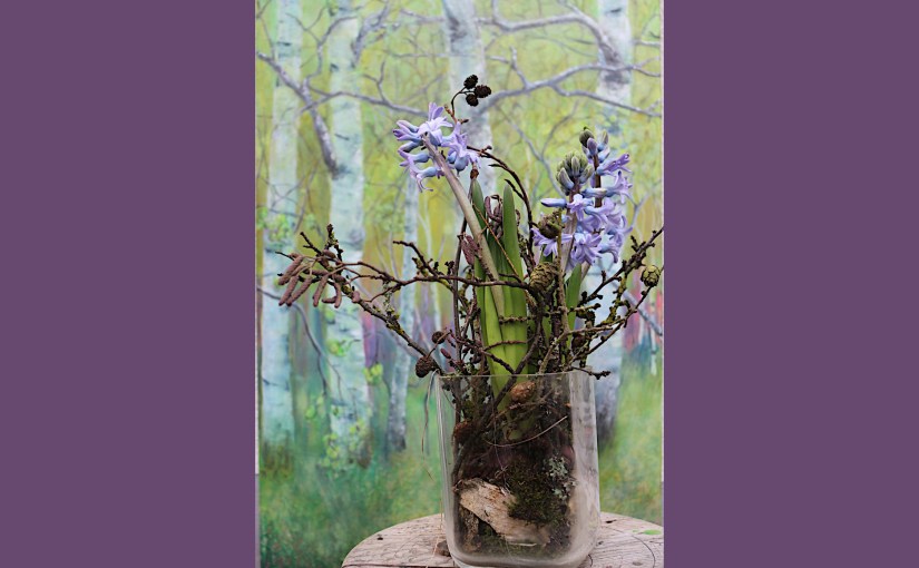 Bluebells vor Birken