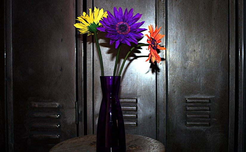 Gerbera in Violett