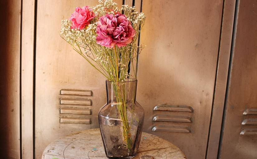 Nelken, die nicht&nbsp;verwelken.