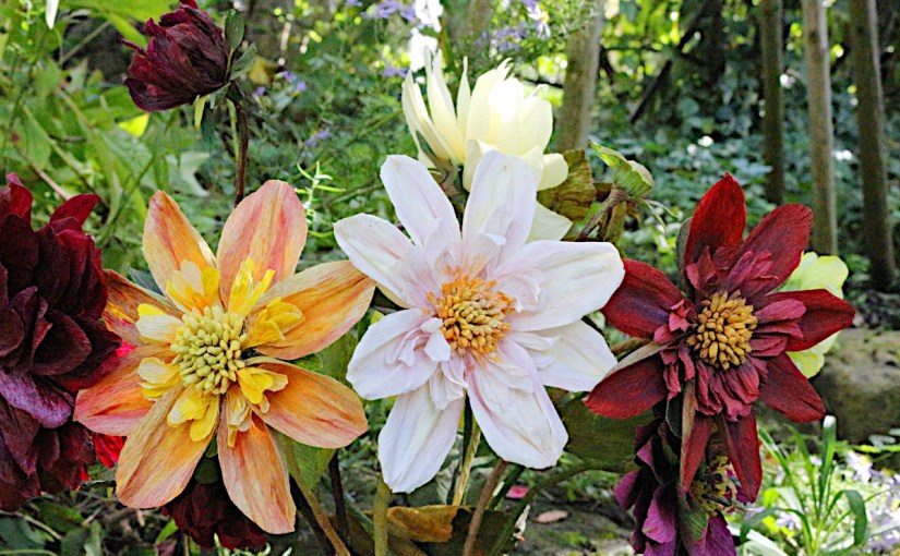 Tagesworkshop Dahlien