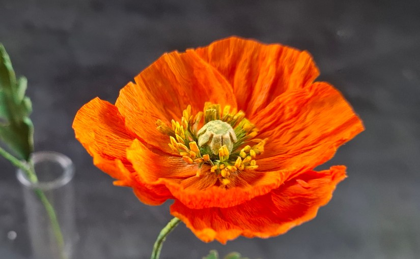 Workshop Kleiner kalifornischer Mohn und Workshop Schattenkästchen