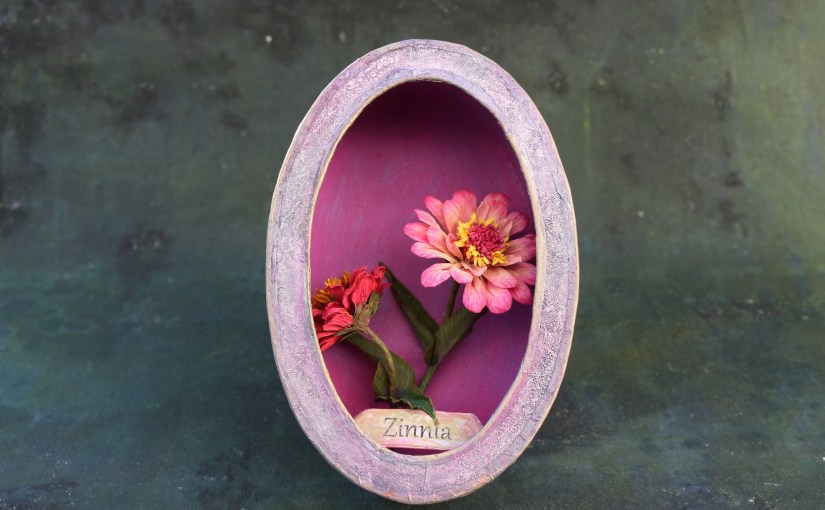 Zinnien eingekastelt