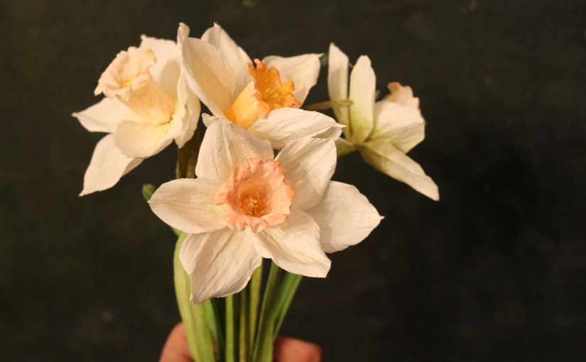 Narzissenworkshop vom 7.2.26