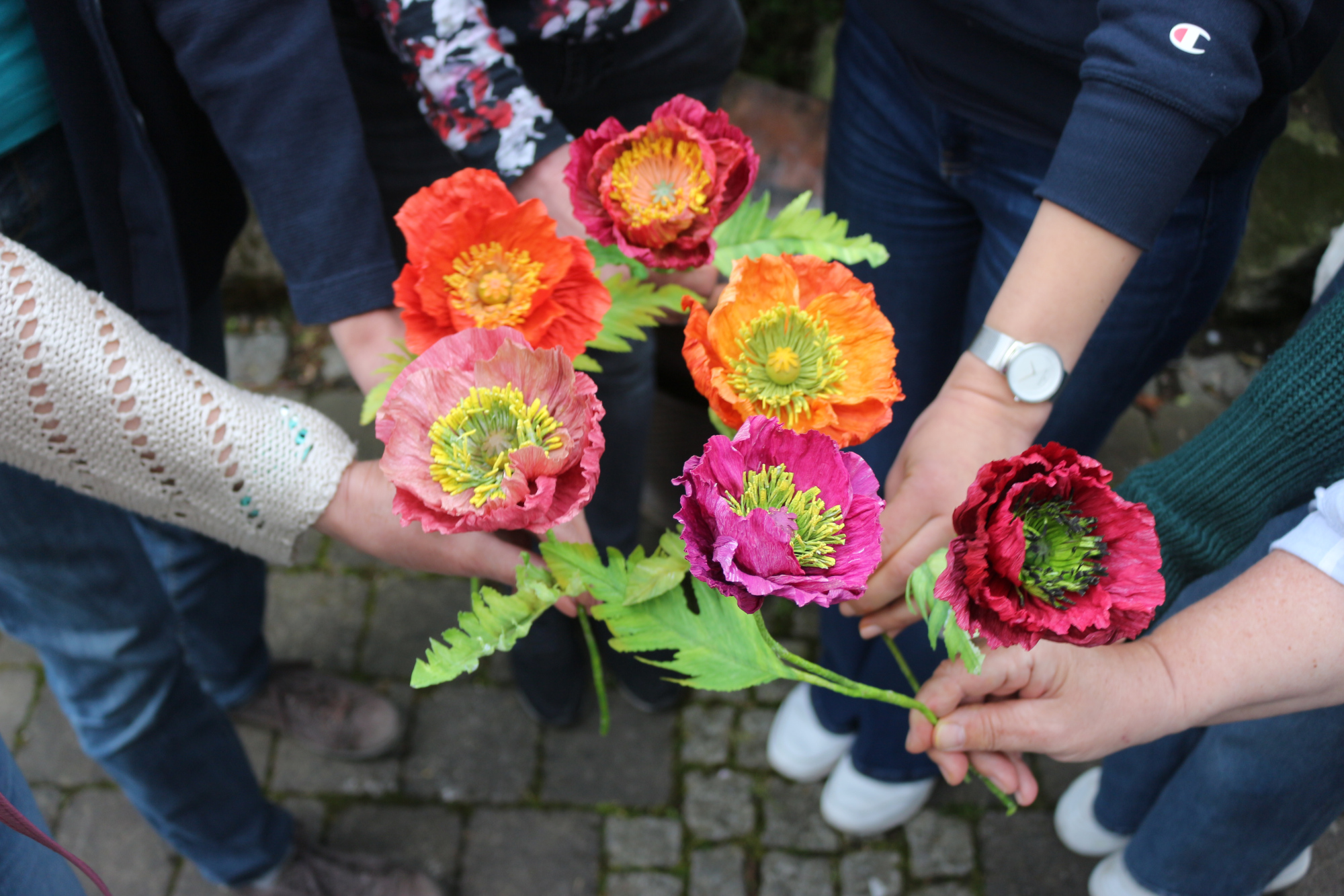 Mohnblumen aus Kurs